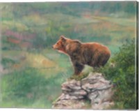 European Brown Bear Fine Art Print