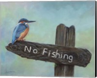 Kingfisher No Fishing Fine Art Print
