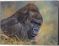 Gorilla Fine Art Print