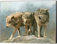 Three Wolves Fine Art Print