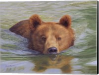 Brown Bear In Water Fine Art Print