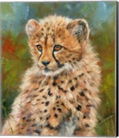 Cheetah Cub 3 Fine Art Print
