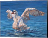 Swan Fine Art Print