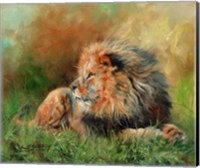 Lion Full Of Grace Fine Art Print