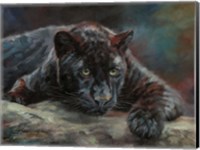 Black Panther 4 Fine Art Print