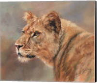 Lioness Portrait Fine Art Print