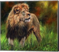 Lion Full Length Fine Art Print