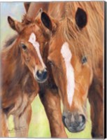Horse And Foal Fine Art Print