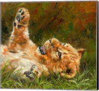 Lion Cub 1012 Fine Art Print