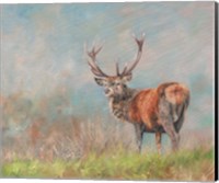 Red Deer Stag From Behind Fine Art Print