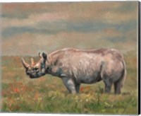 Black Rhino Fine Art Print