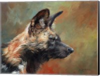 Wild Dog Portrait Fine Art Print