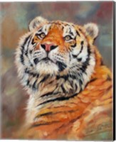 Smiling Tiger Fine Art Print