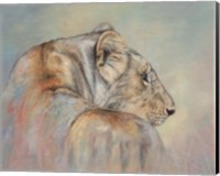 Lioness Fade Fine Art Print
