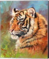 Strong Tiger Fine Art Print