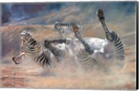 Zebra Rockin And Rollin Fine Art Print