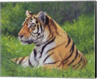Tiger Grass Fine Art Print