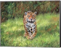 Jaguar Front Fine Art Print