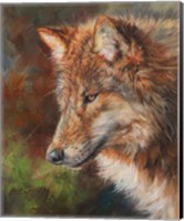 Grey Wolf Face Fine Art Print