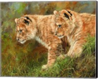 Lion Siblings Fine Art Print