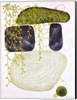 Abstract Botanical 2 Fine Art Print