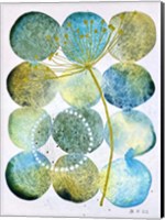 Abstract Botanical 20 Fine Art Print