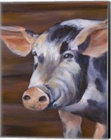 Barn Pig Fine Art Print