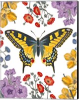 Butterfly Garden IV Fine Art Print