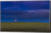 Harvest Moon Rising, Alberta, Canada Fine Art Print