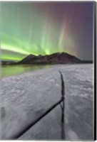 Northern Lights, Carcross, Yukon, Canada Fine Art Print