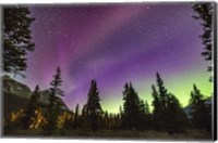 The Unusual STEVE Auroral Arc Across the Northern Sky at Bow LakeAlberta Fine Art Print
