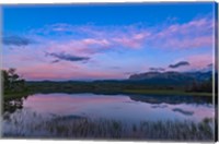 Twilight at Maskinonge Lake in Waterton Lakes National Park Fine Art Print
