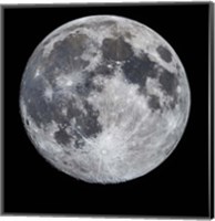 14 Day Old Moon With South Polar Region Fine Art Print
