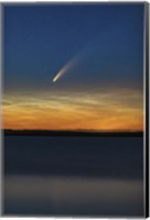Comet NEOWISE With Noctilucent Clouds Above Deadhorse Lake Fine Art Print