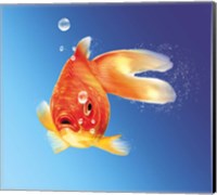 Goldfish With Water Bubbles Fine Art Print