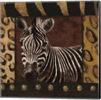 Zebra bordered Fine Art Print