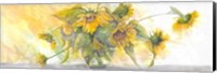 Sun Kissed Sunflowers Fine Art Print