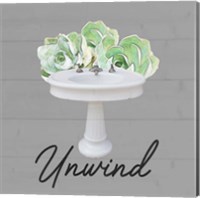 Unwind Succulent Fine Art Print