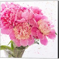 Peonies Fine Art Print