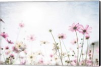 Wildflower Spring Fine Art Print