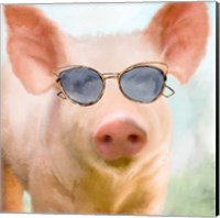 Sun Glasses Pig Fine Art Print