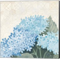 Decorative Hydrangea III Providence Fine Art Print