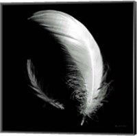 Dream Feathers Sq Fine Art Print
