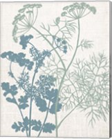 Linen Herbs 1 Fine Art Print