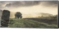 Sunset Farm Fine Art Print