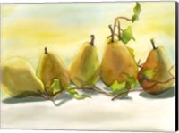 Pears In A Row 1 Fine Art Print