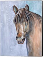 Gentle Stallion 2 Fine Art Print