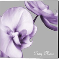 Praying Orchids Fine Art Print