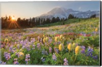 Paradise Wildflower Meadows I Fine Art Print