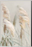 Neutral Pampas Grasses III Fine Art Print
